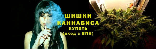 дурь Вяземский