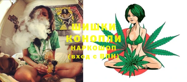 молекула духа Волосово