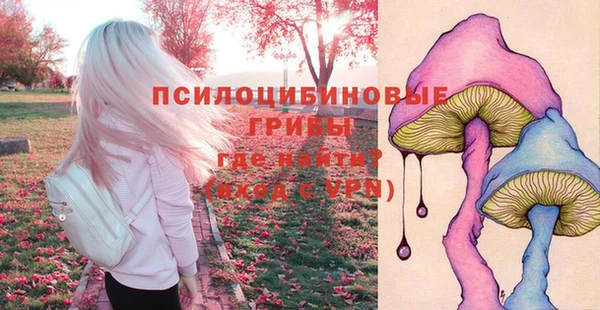 дурь Вяземский