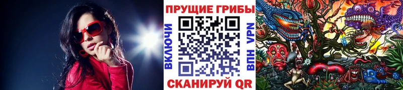 Галлюциногенные грибы GOLDEN TEACHER  что такое   Брюховецкая 